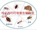 怀化市叮叮有害生物防治有限责任公司