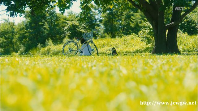 日本老人人均寿命再创新高，他们长寿的秘诀，可以归结为一个词