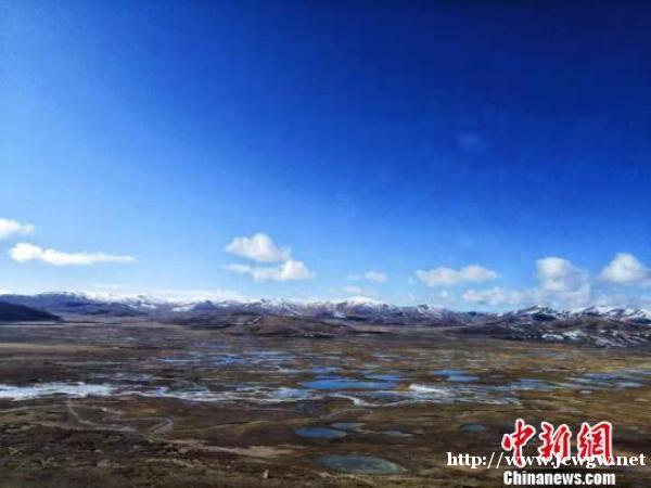 中国黄河源雪豹调查成果丰硕 捕获多组珍贵画面