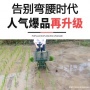 全国热销水稻秧苗插秧机 手动水稻插秧机 新型小型插苗机