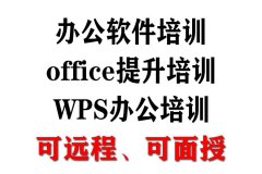 成都一对一远程office办公软件培训